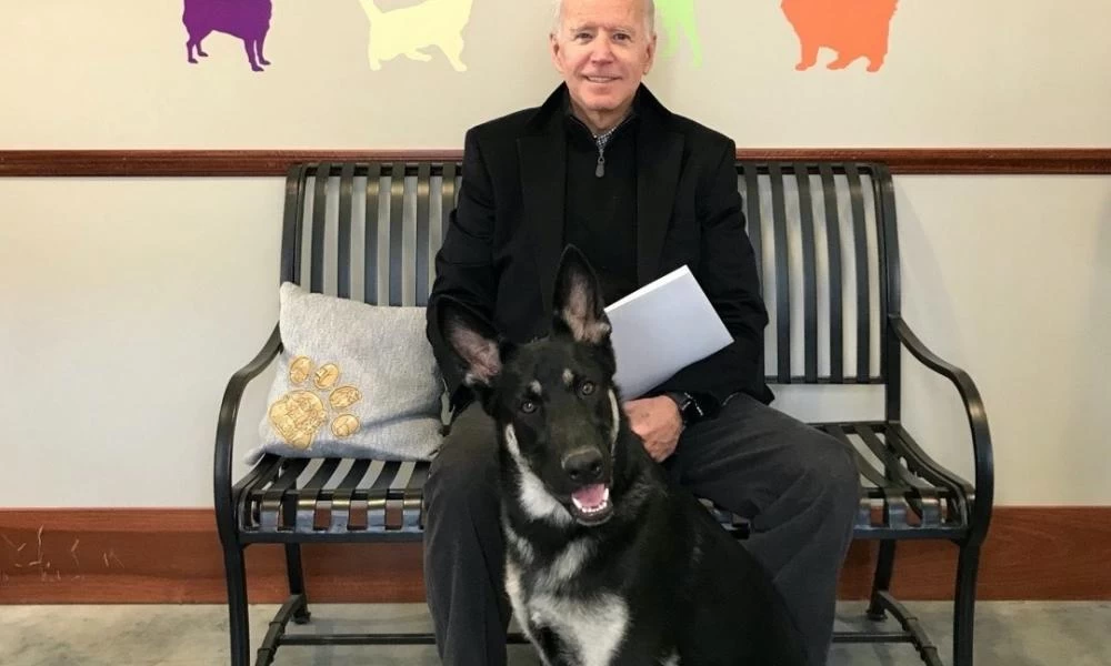 Μέιτζορ: Το πρώτο υιοθετημένο αδέσποτο από Πρόεδρο των ΗΠΑ